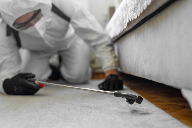 Professional Termite Control technician working in Elmo, TX
