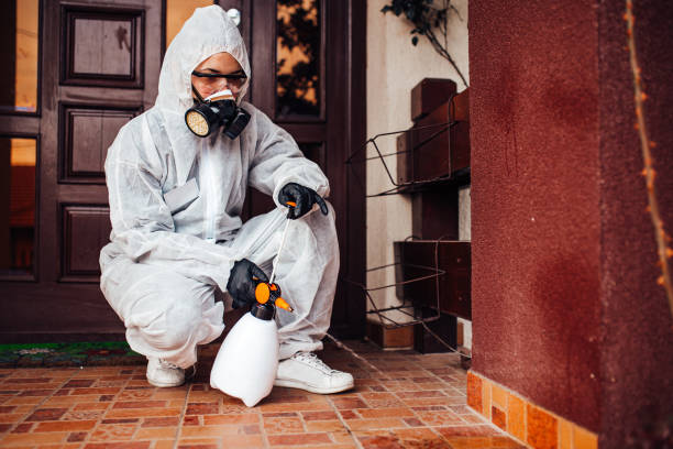 Reliable Termite Control contractor in Elmo, TX by Nex Pest Control